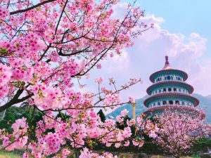 Tại sao nên đi XKLĐ Đài Loan?